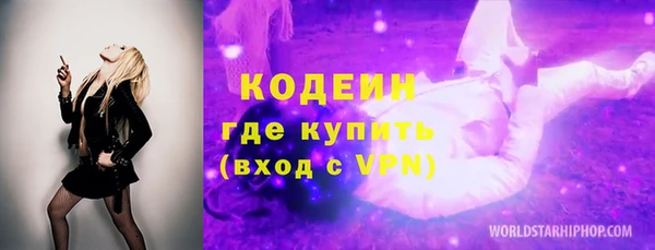 молекула духа Богородицк