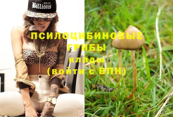 мяу мяу кристалл Бородино
