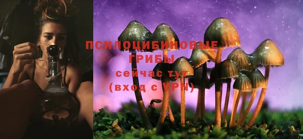 герыч Бронницы