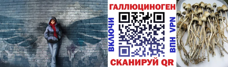 Псилоцибиновые грибы ЛСД  Вилючинск 